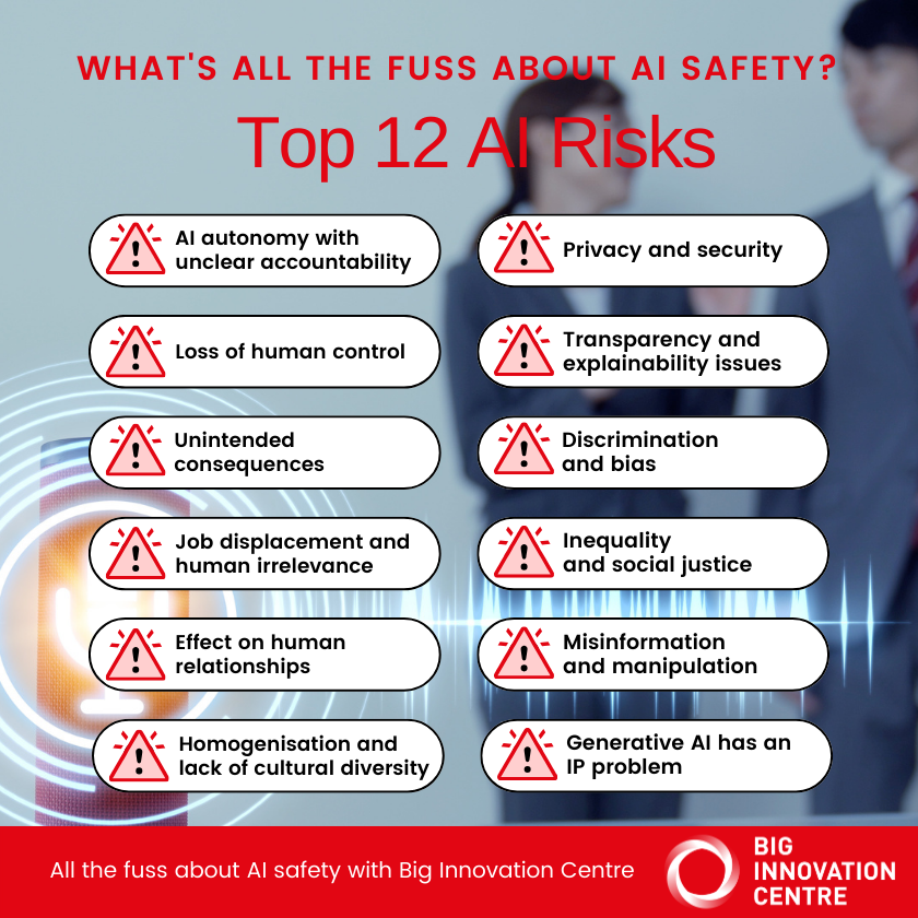 List of top 12 AI safety risks